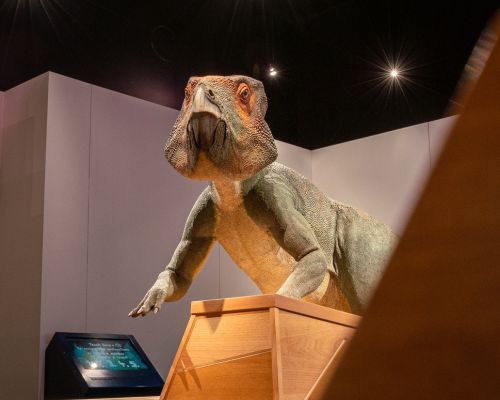 Dinosaurs-of-BC-Royal-BC-Museum.jpg