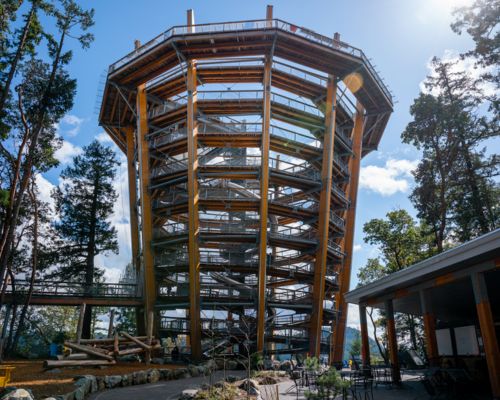 Malahat-SkyWalk-Tower.jpg
